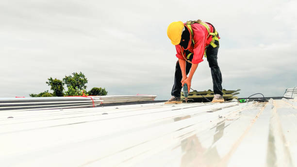 Best Roof Leak Repair  in Piketon, OH