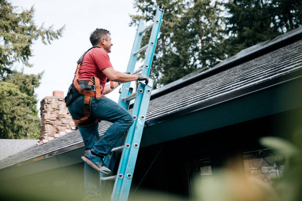 Best Solar Panel Roofing Installation  in Piketon, OH