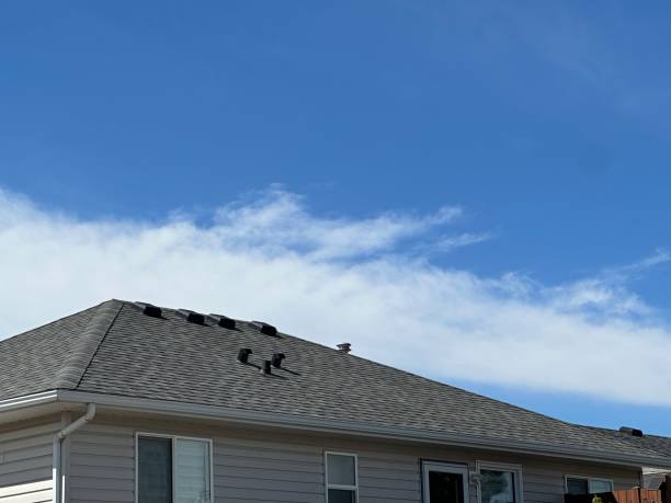 Best Roof Coating and Sealing  in Piketon, OH